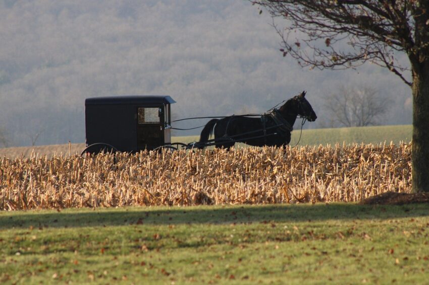 Amish